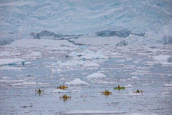 Like colourful dots, kayaks glide through the icy waters of Neko Harbour. The massive glacier fractures behind reveal the scale – the paddlers appear tiny before the crevassed ice wall that could calve at any moment.