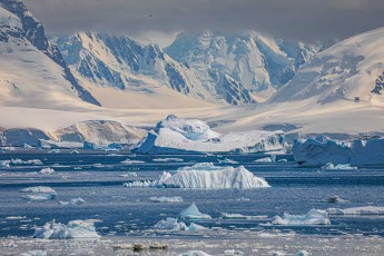 Paradise Bay lives up to its name. Icebergs drift like white islands through the deep blue water, behind them snow-capped peaks tower in dramatic layers in the soft light – a place like something from another world.