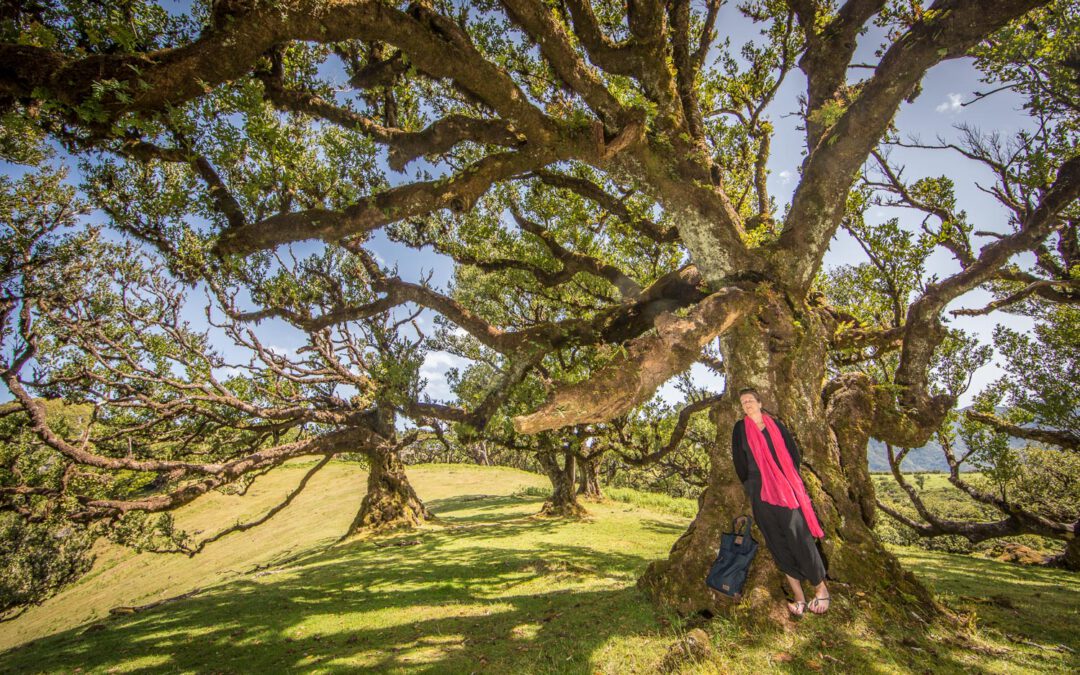 Madeira: it doesn’t get any greener