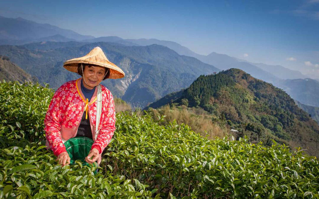 Von Tempeln und Türmen in Taipeh hin zu Schluchten und Wäldern