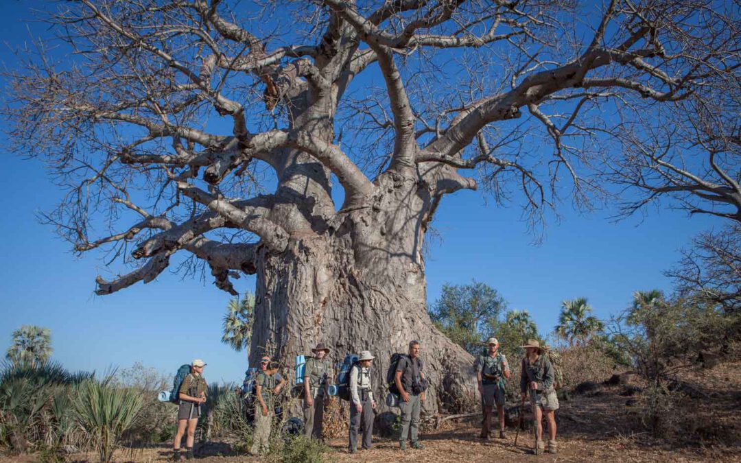 Becoming ranger in South Africa