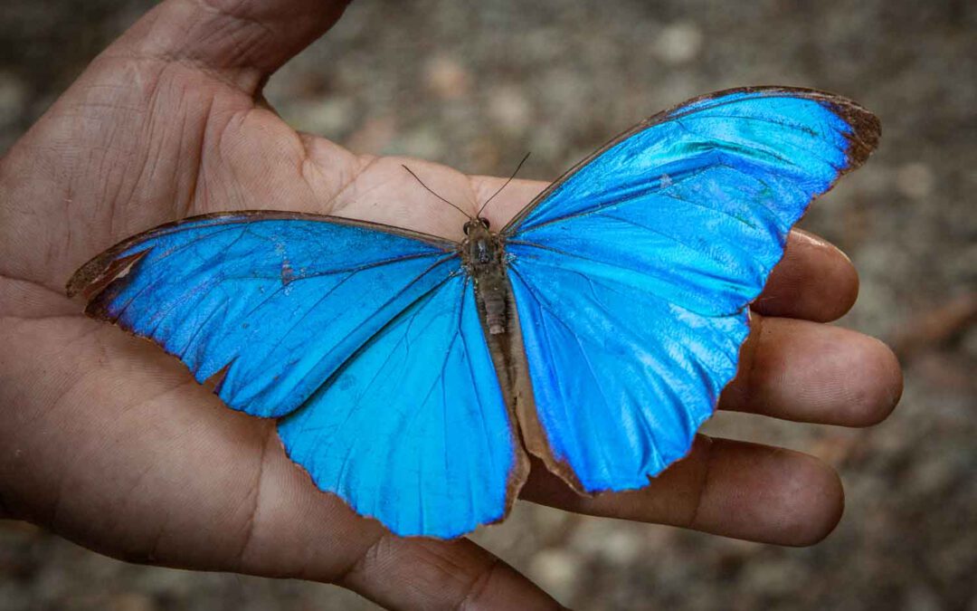 Veröffentlichung in Oxigeno – Spaniens meistverkauftes Outdoor-Magazin