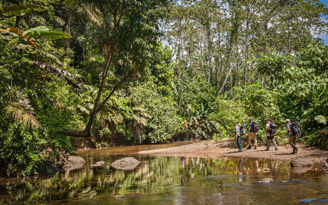 Panama – Schatzpfad-Expedition im Regenwald