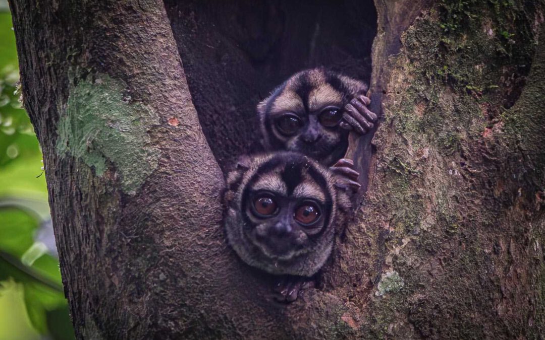 Photo gallery Ecuador’s Amazon