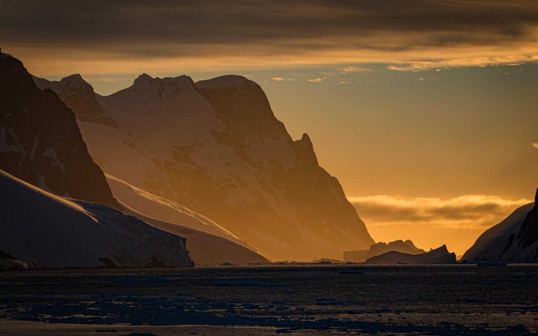 Singende Eisberge, talentierte Orcas, unendliche Stille