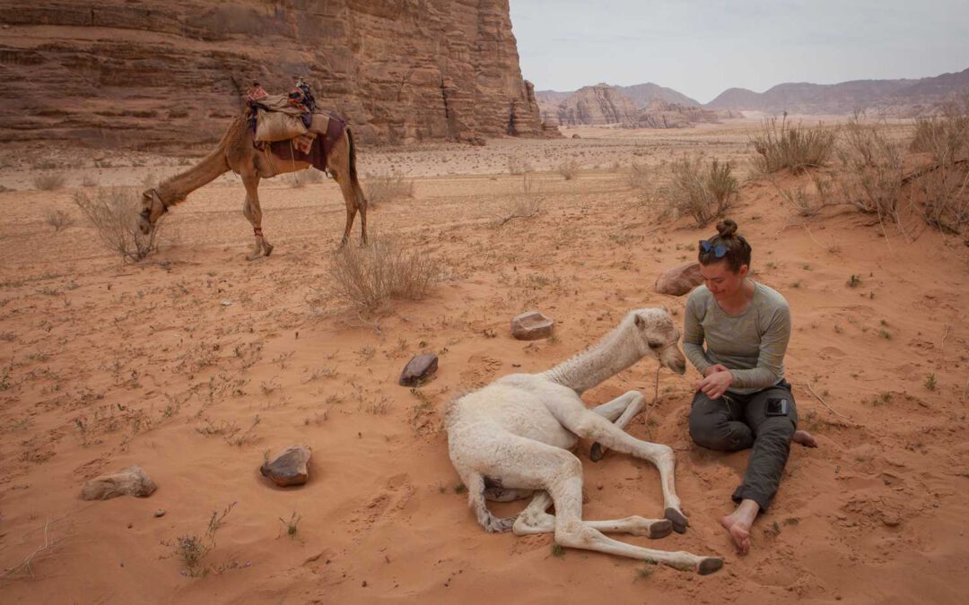 Abenteuer in Jordanien
